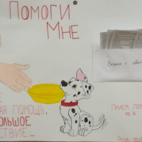 28.12.2018 Посещение приюта бездомных животных в поселке Столбище.